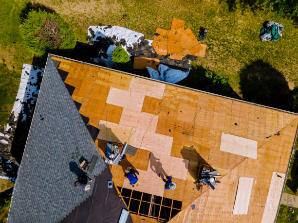 Best Flat Roof Repair Services  in Saranac, MI