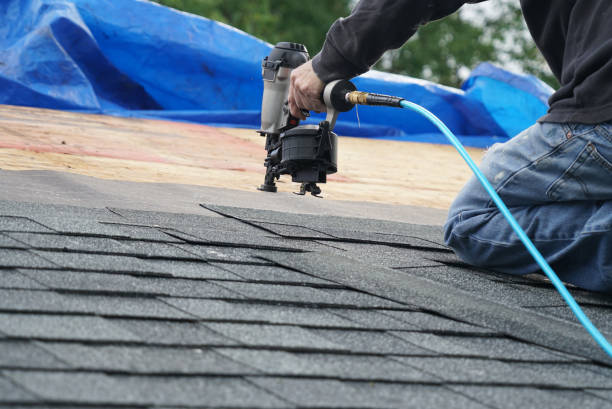 Best Roof Repair Services  in Saranac, MI
