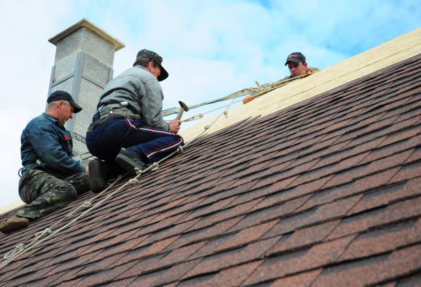 Best New Roof Installation  in Saranac, MI